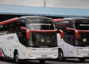 “PO Borlindo Rilis Bus Anyar, 2 Kursi Spesial di Depan – Coba Sekarang!”