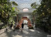 “Bandara Changi Dikritik soal Layanan Bagasi Lambat, Kini Janji Lebih Sat Set: Apakah Janji Ini Cukup?”