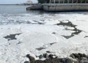 “Misteri Lautan Berbusa Putih di Jembatan Suramadu Terungkap: Ini Penyebabnya!”