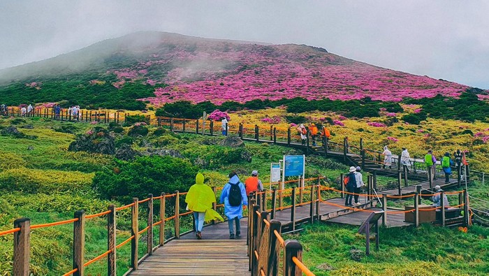 3 Negara Ini Berlomba 'Mencuri' Hati Turis China dari Jepang, Mana yang Akan Menang?