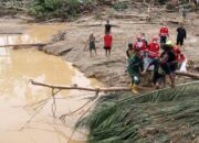 **Intip Garasi Bupati Aceh Selatan yang Disorot Gegara Umrah saat Banjir Bandang: Performa dan Teknologi di Balik Polemik**