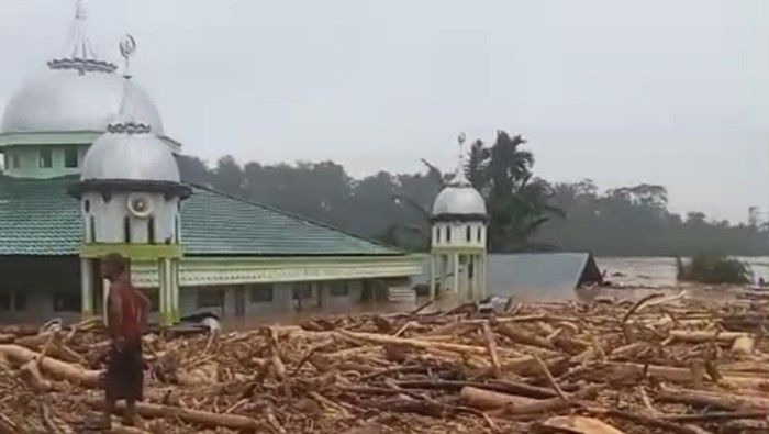 Menyusuri Keindahan Desa Sekumur, Aceh Tamiang: Destinasi Eksotis yang Ditabrak Banjir