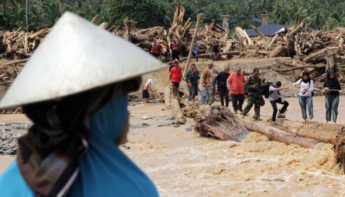 “Perusahaan yang Merusak Hutan Batang Toru: Apakah Pembebasan Informasi Publik Menyelamatkan Ekosistem?”
