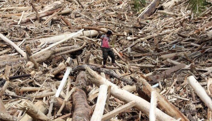 Desa Garoga di Batang Toru: Hilangnya Sebuah Desa Tertimbun Tanah dan Gelondongan Kayu
