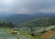 Tragedi Mengejutkan di Siksorogo Lawu Ultra: 2 Pelari Tewas Bukan Peserta Rute Ekstrem