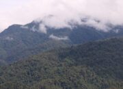 **Aceh Selatan: Bupati Umrah saat Rakyat Banjir – Fakta Menarik untuk Petualang**