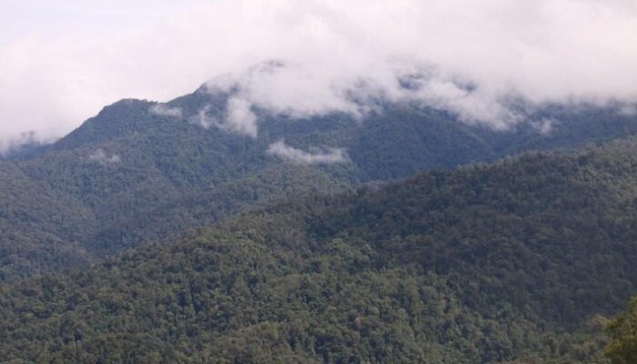 **Aceh Selatan: Bupati Umrah saat Rakyat Banjir – Fakta Menarik untuk Petualang**