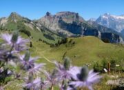 **Mengenal Murren, Desa Tersembunyi dengan Pemandangan Surgawi dari Swiss**