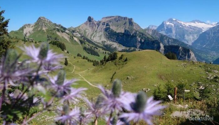 **Mengenal Murren, Desa Tersembunyi dengan Pemandangan Surgawi dari Swiss**