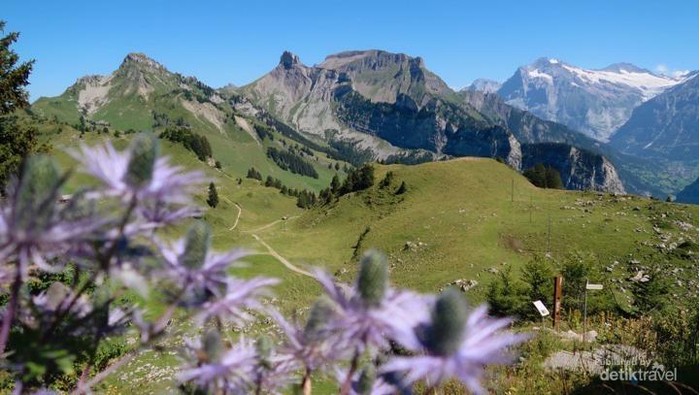 **Mengenal Murren, Desa Tersembunyi dengan Pemandangan Surgawi dari Swiss**