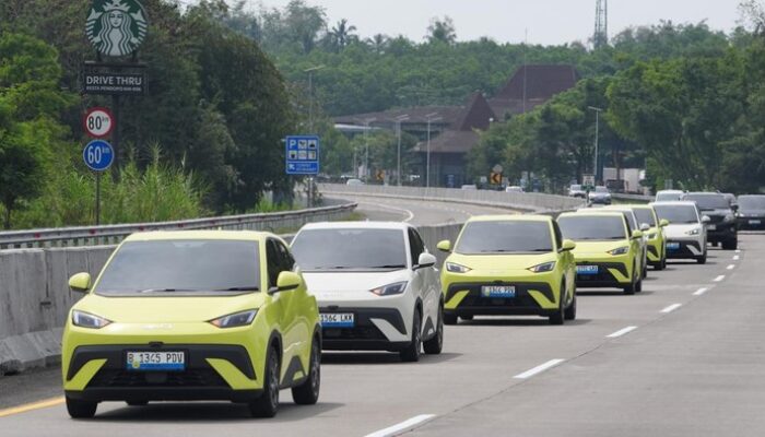 82.525 Unit Penjualan Mobil Listrik RI, 10 Model Ini Jadi Favorit!