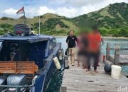 **Perburuan Rusa di TN Komodo: Kisah Seru di Pulau Eksotis**