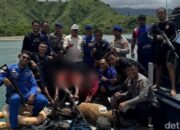 **Pemburu Rusa di TN Komodo Terancam Sanksi Penjara Seumur Hidup**