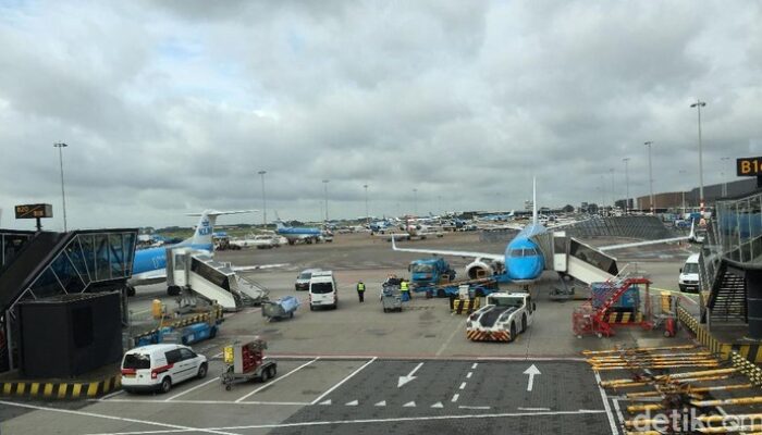 _Tikus Berkeliaran di Kabin, Penerbangan KLM dari Amsterdam ke Karibia Dibatalkan_