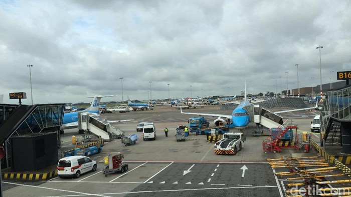 _Tikus Berkeliaran di Kabin, Penerbangan KLM dari Amsterdam ke Karibia Dibatalkan_