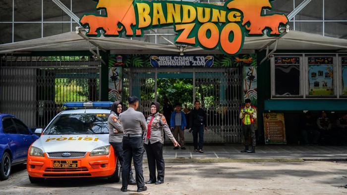 **Panduan Menjelajahi Bandung Zoo dengan Bantuan dari BBKSDA Jabar**