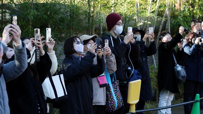 **Warga Tokyo Antre Panjang untuk Bersua dengan Panda Kembar Ueno Sebelum Kembali ke Tiongkok**