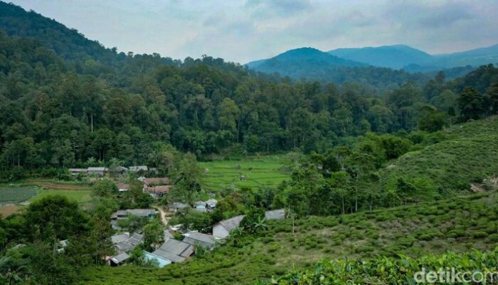 Malasari: Desa Wisata yang Wajib Anda Kunjungi di Libur Nataru!