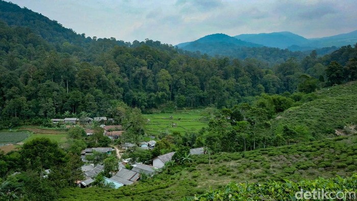 Malasari: Desa Wisata yang Wajib Anda Kunjungi di Libur Nataru!