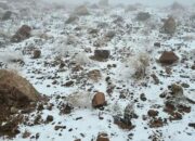 **Geger Salju di Gurun Arab Saudi: Menyaksikan Keajaiban Alami di Pegunungan Al-Lawz**