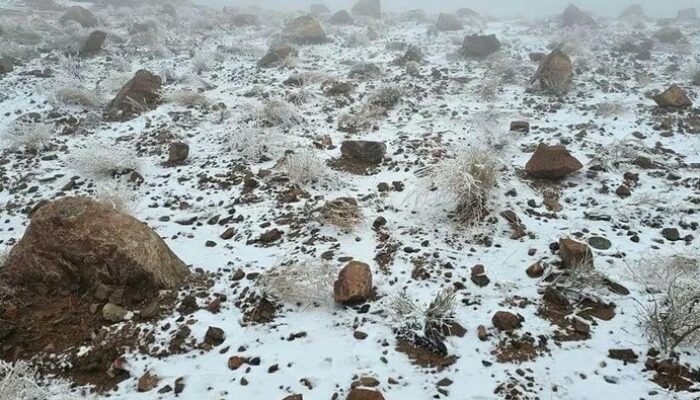 **Geger Salju di Gurun Arab Saudi: Menyaksikan Keajaiban Alami di Pegunungan Al-Lawz**