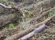 “Video Promosi Gunung Salak Viral, Warga Geram: Konflik Wisata Modern vs Tradisi”