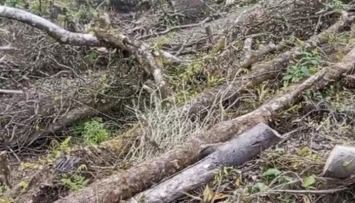 “Video Promosi Gunung Salak Viral, Warga Geram: Konflik Wisata Modern vs Tradisi”