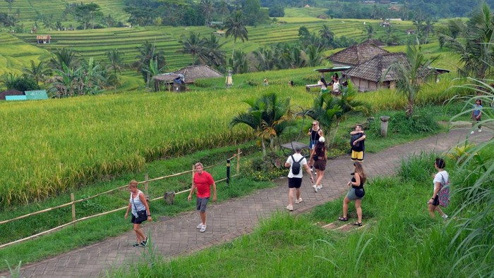 Bali Terpukul, Krisis Sampah, Macet, dan Banjir Menyebut Pemprov Kena Kritikan DPRD saat Wisatawan Menyusut