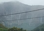 “Heboh Air Terjun Dadakan di Sembalun, Lombok: Fakta yang Membuat Anda Terkejut!”