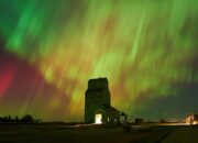 Liburan Luar Negeri Tanpa Takut Boncos? Ini Cara Turis Cerdas Bawa Makanan Sendiri!