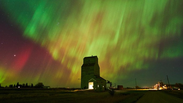 Liburan Luar Negeri Tanpa Takut Boncos? Ini Cara Turis Cerdas Bawa Makanan Sendiri!