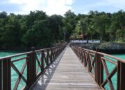 Berenang di Antara Jutaan Ubur-ubur Tak Menyengat: Keajaiban Danau Kakaban