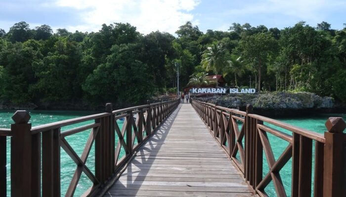 Berenang di Antara Jutaan Ubur-ubur Tak Menyengat: Keajaiban Danau Kakaban