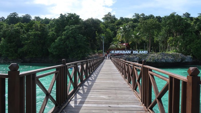 Berenang di Antara Jutaan Ubur-ubur Tak Menyengat: Keajaiban Danau Kakaban