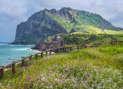 **Pulau Jeju, Destinasi K-drama Favorit di Netflix yang Wajib Dikunjungi!**