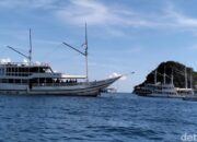 “Pengumuman! Kapal Wisata ke Komodo dan Padar Ditutup Sementara, Apa yang Terjadi?”