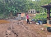 **Misteri Jejak Harimau di Gunungkidul: Destinasi Eksotis untuk Pencari Petualangan**