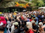 Bandung Zoo Ramai, Wisatawan Padati Area Setelah Penawaran Menarik