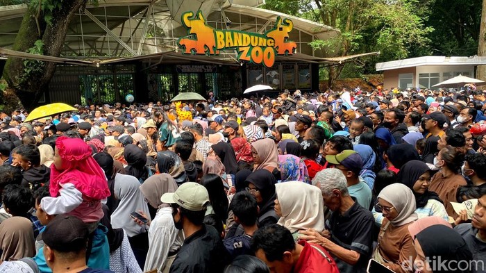 Bandung Zoo Ramai, Wisatawan Padati Area Setelah Penawaran Menarik
