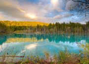 **Walau Pohon-pohon Ikoniknya Telah Ditebang, Desa Biei di Hokkaido Tetap Menawan Para Turis**