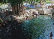 “Umbul Sigedang-Kapilaler: Menemukan Segar ala Kolam Bawah Beringin Raksasa”