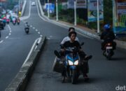 “Tabrak atau Lari? Ketemu Pengendara Lawan Arah di Jalan Raya, Harus Gimana?”