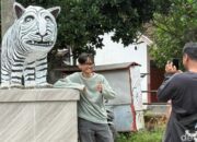 “Ragam Wisata Petualangan di Nusa Tenggara Timur: Dari Gua到Gurun”