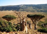 “Terjebak di Pulau Dajjal: Kisah Turis yang Harus Bertahan Tanpa ATM”