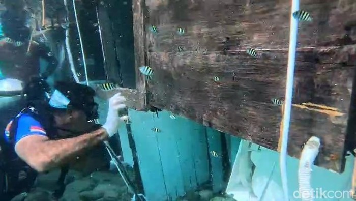 **Polisi Tetapkan 2 Tersangka dari Kapal Tenggelam Pelatih Valencia: Misteri di Taman Nasional Komodo**