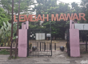 **Taman Lembah Mawar: Surga Wisata Ramah Kantong di Depok untuk Keluarga**