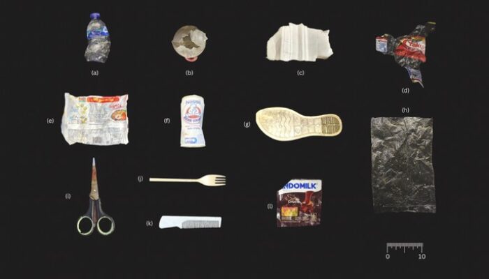 **Padang Lamun di Bali: Surga Bawah Laut yang Terancam oleh Sampah Pariwisata**