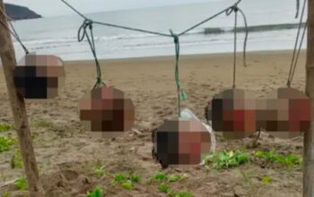 Menyelami Misteri Ekuador: Lima Kepala Manusia di Pantai Puerto Lopez