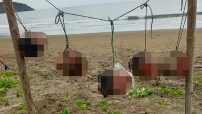 Menyelami Misteri Ekuador: Lima Kepala Manusia di Pantai Puerto Lopez