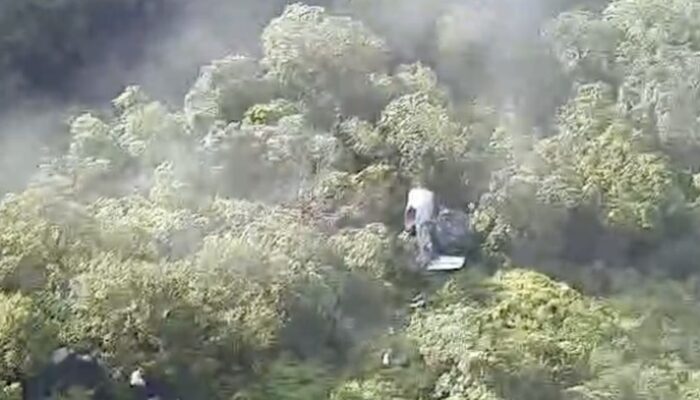 “Menjelajah Dunia dengan Smartwatch Inovatif, Pecahkan Rekor Langkah Sejuta!”